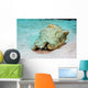 Queen Conch St Croix Wall Decal
