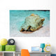 Queen Conch St Croix Wall Decal