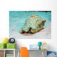 Queen Conch St Croix Wall Decal