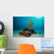 Coral Reef St Croix Open Water Wall Decal