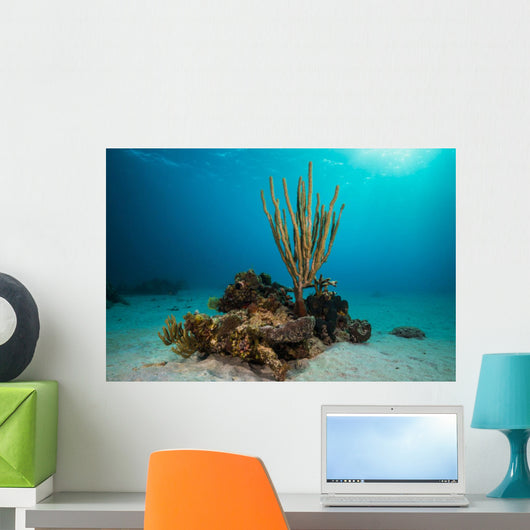 Coral Reef St Croix Open Water Wall Decal