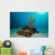 Coral Reef St Croix Open Water Wall Decal