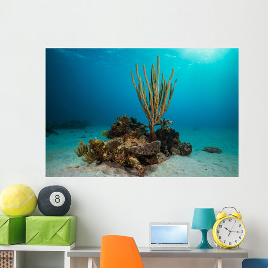 Coral Reef St Croix Open Water Wall Decal