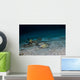 Southern Stingray St Croix Wall Decal