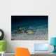 Southern Stingray St Croix Wall Decal