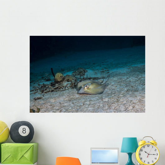 Southern Stingray St Croix Wall Decal