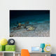 Southern Stingray St Croix Wall Decal
