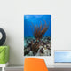 Coral Reef St Croix Wall Decal