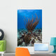 Coral Reef St Croix Wall Decal