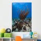 Coral Reef St Croix Wall Decal