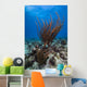 Coral Reef St Croix Wall Decal