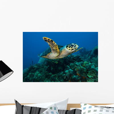 Hawksbille Sea Turtle Swimming Close-up Wall Decal shown on a wall