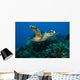 Hawksbille Sea Turtle Swimming Close-up Wall Decal