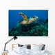 Hawksbille Sea Turtle Swimming Close-up Wall Decal