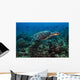 Hawksbille Sea Turtle Swimming Wall Decal