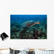 Hawksbille Sea Turtle Swimming Wall Decal