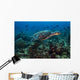 Hawksbille Sea Turtle Swimming Wall Decal