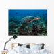 Hawksbille Sea Turtle Swimming Wall Decal