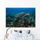 Hawksbille Sea Turtle Swimming Wall Decal