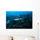 Reef Shark Swimming across Wall Decal