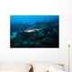 Reef Shark Swimming across Wall Decal
