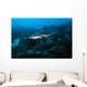 Reef Shark Swimming across Wall Decal