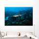 Reef Shark Swimming across Wall Decal