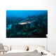 Reef Shark Swimming across Wall Decal