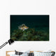 Copper Rockfish Prince William Wall Decal