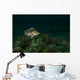 Copper Rockfish Prince William Wall Decal