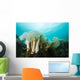 Giant Plumose Anemones Prince Dark Wall Decal