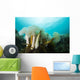 Giant Plumose Anemones Prince Dark Wall Decal
