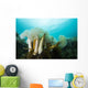 Giant Plumose Anemones Prince Dark Wall Decal