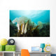 Giant Plumose Anemones Prince Dark Wall Decal