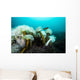 Giant Plumose Anemones Prince Wall Decal
