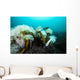 Giant Plumose Anemones Prince Wall Decal