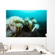 Giant Plumose Anemones Prince Wall Decal