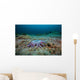 Sunflower Sea Star Alaska Wall Decal