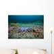 Sunflower Sea Star Alaska Wall Decal