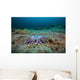 Sunflower Sea Star Alaska Wall Decal