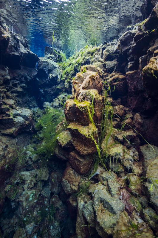 Diving Silfra Iceland Water Vertical Wall Decal
