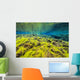 Diving Silfra Iceland Water Wall Decal