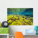 Diving Silfra Iceland Water Wall Decal