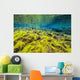 Diving Silfra Iceland Water Wall Decal