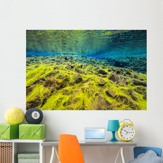 Diving Silfra Iceland Water Wall Decal