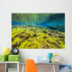 Diving Silfra Iceland Water Wall Decal