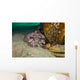 Leopard Toadfish Hiding Stern Wall Decal