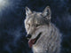 Wolf Wall Mural