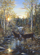Whitetail Deer Wall Mural