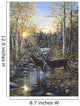 Whitetail Deer Wall Mural